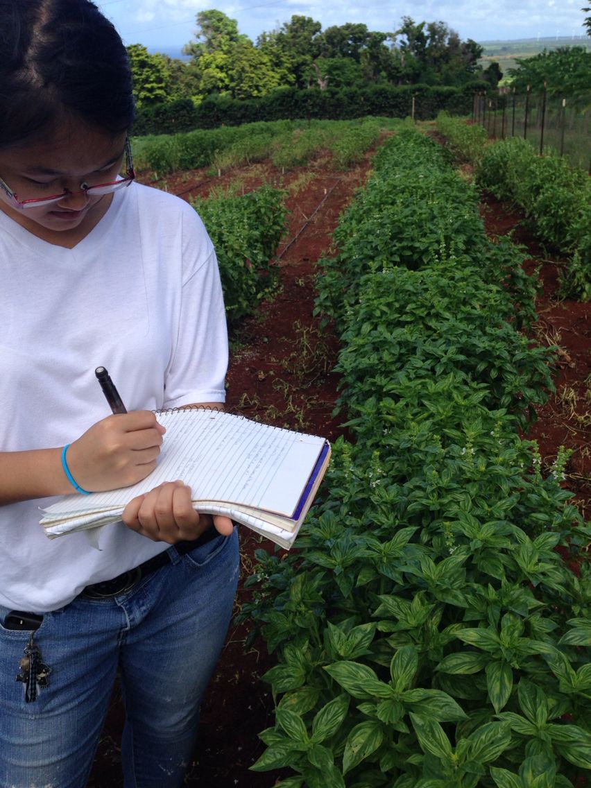 Agribusiness and Agricultural Economics